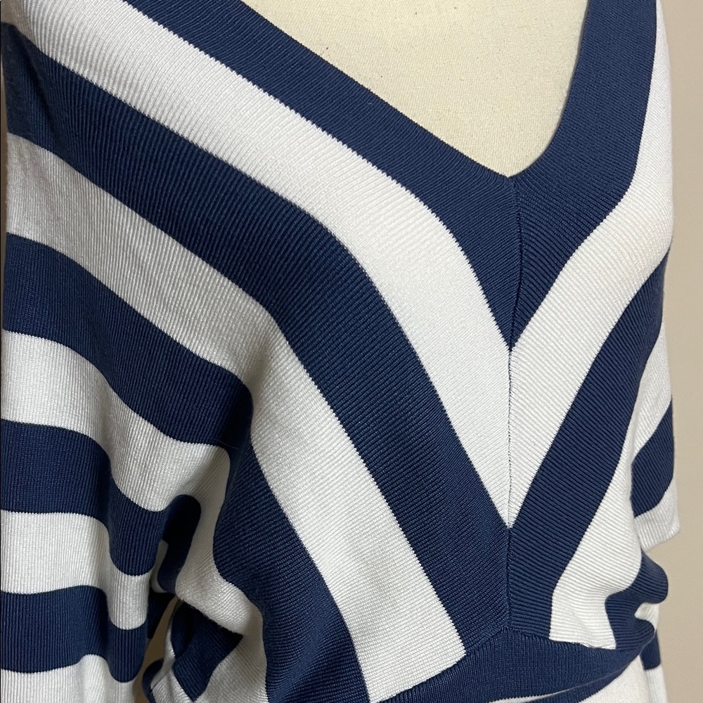 Truth by Republic Navy and White Striped Women's Sweater - Picture 5 of 8